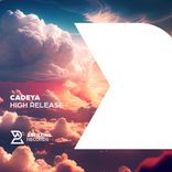 Artwork for "High Release"