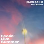 Artwork for "Feelin' Like Summer"