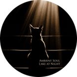 Artwork for "Lake at Night"