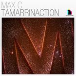 Artwork for "Tamarrinaction"