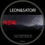 Artwork for "MSR011"