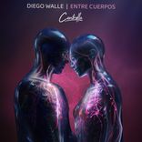 Portada para "ENTRE CUERPOS"