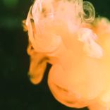 Artwork for "Blessing"