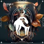 Artwork voor "Tamale"