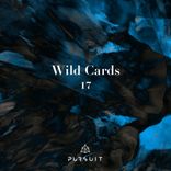 Artwork voor "Wild Cards 17"