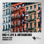 Artwork voor "Brooklyn Story"