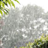 White Noise Rain Sounds Pt.4