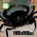 Artwork voor "Arahova"