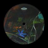 Artwork voor "Soundgarden"