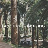 Artwork for "Say You Love Me"