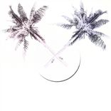 Artwork voor "Disko Pandemiko"