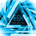 Artwork voor "Deep Sea Funk"