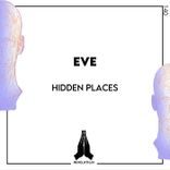 Artwork for "Hidden Places"
