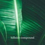 Artwork for "Hillside Compound"