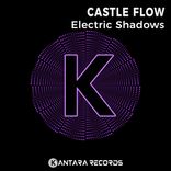 Artwork for "Electric Shadows"