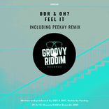 Portada para "Feel It"