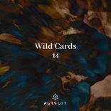 Artwork for "Wild Cards 14"