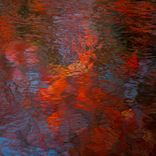 Artwork für "Vigilant"