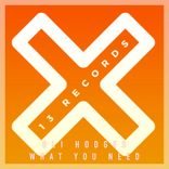 Artwork voor "What You Need"