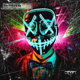 Artwork for "Rave Can't Lie"