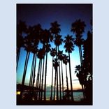 Artwork for "C.A.F."