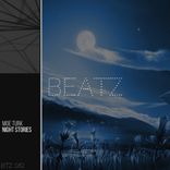 Artwork for "Night Sotires"