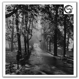 Portada para "Chronophobia"