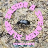 Portada para "Renegades"