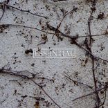 Artwork voor "ESSENTIAL 007"