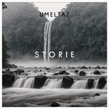 Artwork for "Storie"