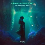 Portada para "Wondering Why"