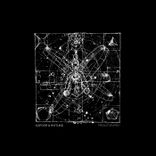 Artwork for "Predator/Prey"