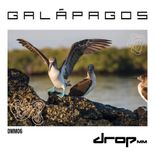 Artwork voor "Galapagos"