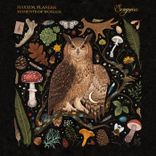 Artwork for "Moments of Wonder"