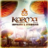 Artwork for "Karma Project"
