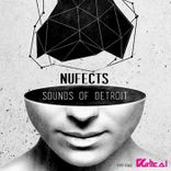 Artwork for "Sounds of Detroit"