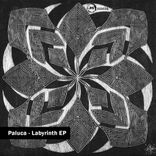 Artwork voor "Labyrinth"