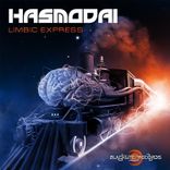 Artwork for "Limbic Express"