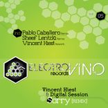 Artwork for "Sorry Remix"