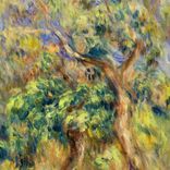 Portada para "Lucky Aide / Evergreen"