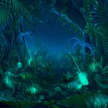 Portada para "Crickets & Frogs Sounds"