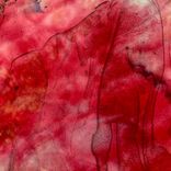 Artwork voor "Tramontato (सेट)"