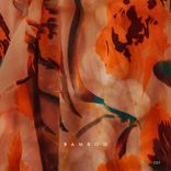 Artwork for "Bamboo"