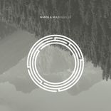 Artwork for "Vesolje"