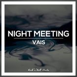 Portada para "Night Meeting"