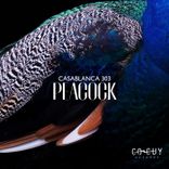 Artwork for "Peacock"