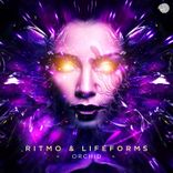 Artwork voor "Orchid"