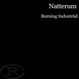 Portada para "Burning Industrial"