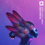 Artwork für "Rabbit Don't Sleep"