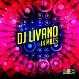 Artwork for "14 Miles"